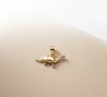 CHARM Dinosaurio