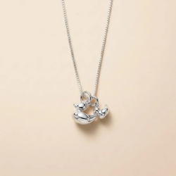 CHARM Bebé Patito